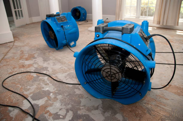 Best Water damage restoration services  in Fairway, KS