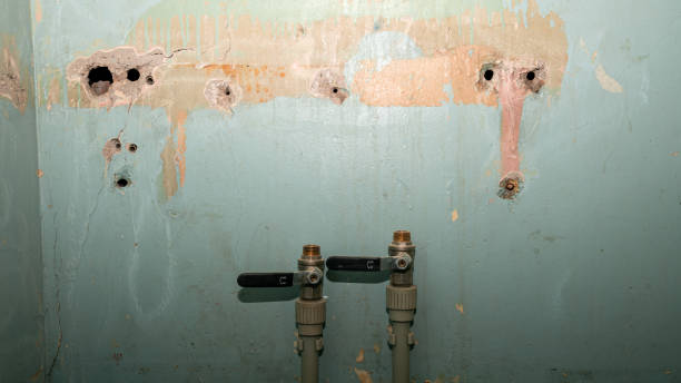Best Fire Damage Restoration  in Fairway, KS