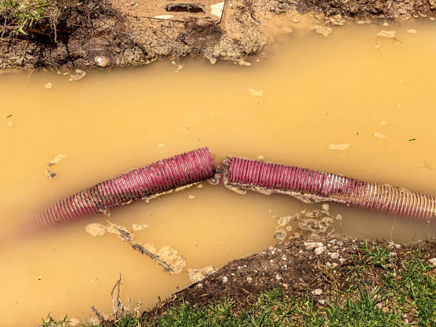 Best Water damage contractors near me  in Fairway, KS