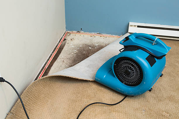 Best Sewage cleanup and water damage restoration  in Fairway, KS